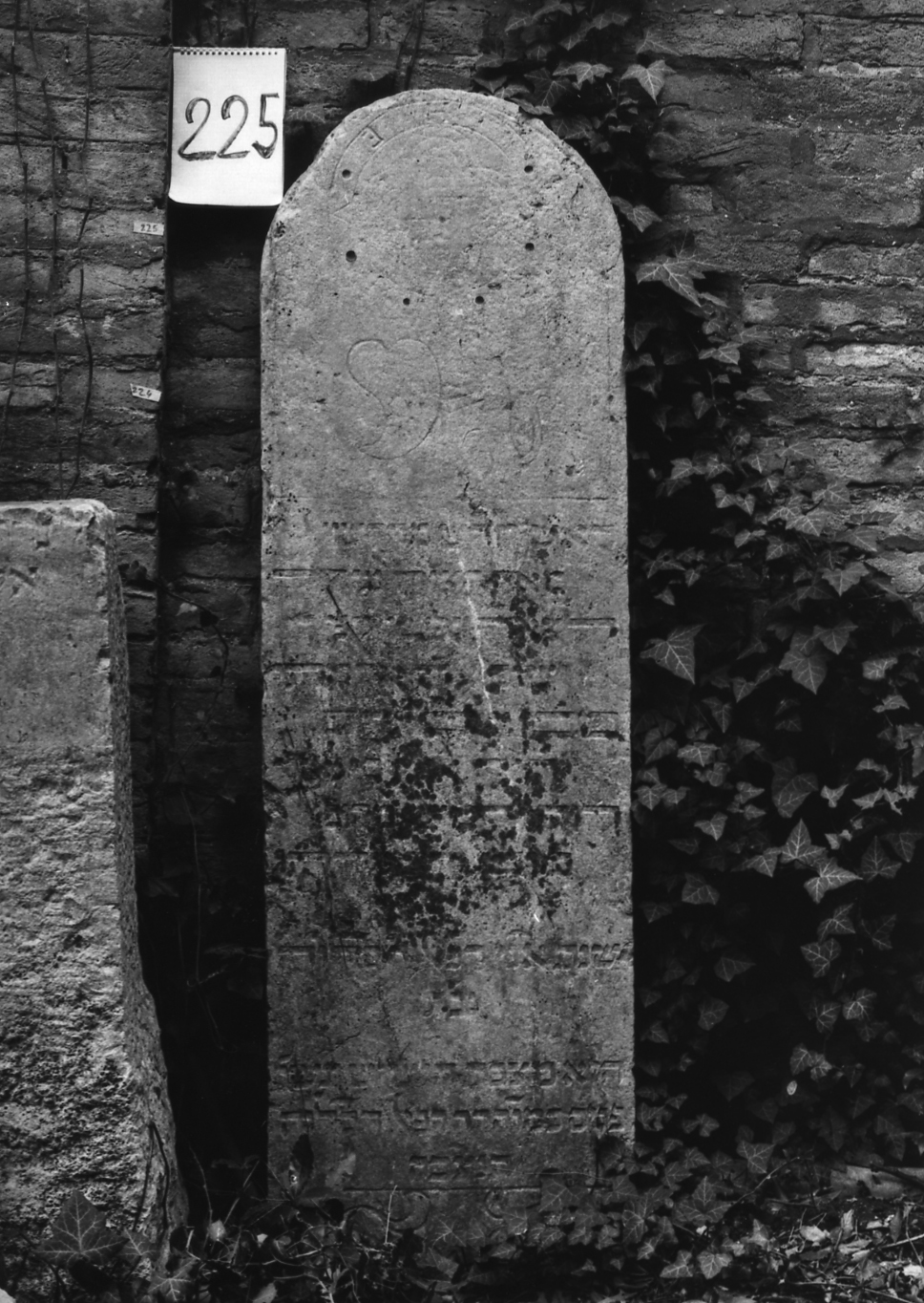 lapide - ambito veneto (sec. XVII)