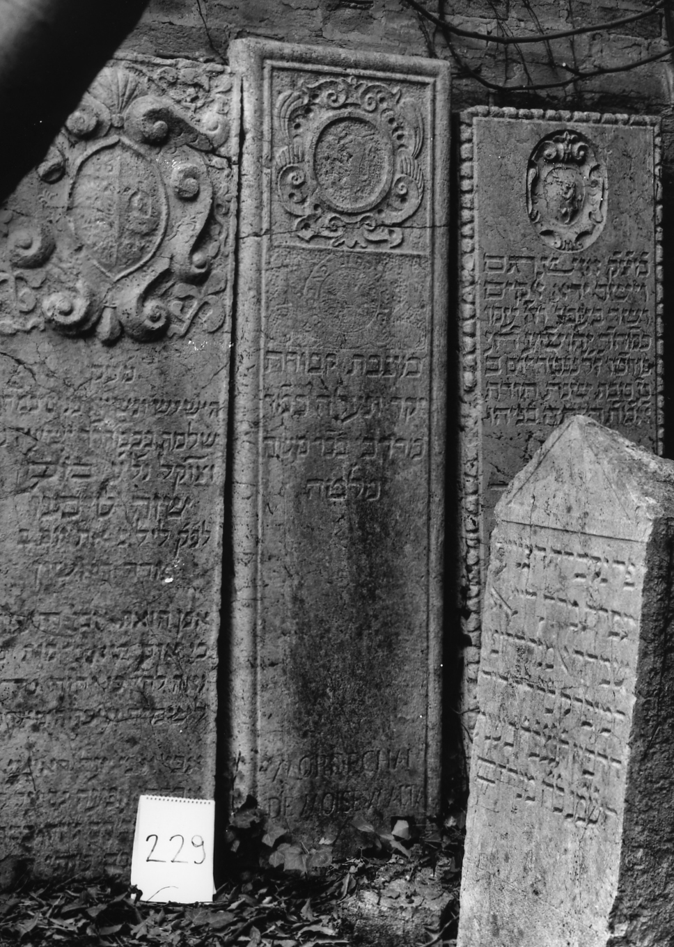 coperchio di sarcofago - ambito veneto (sec. XVII)