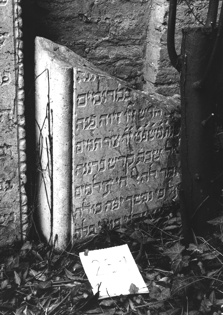 coperchio di sarcofago - ambito veneto (sec. XVII)