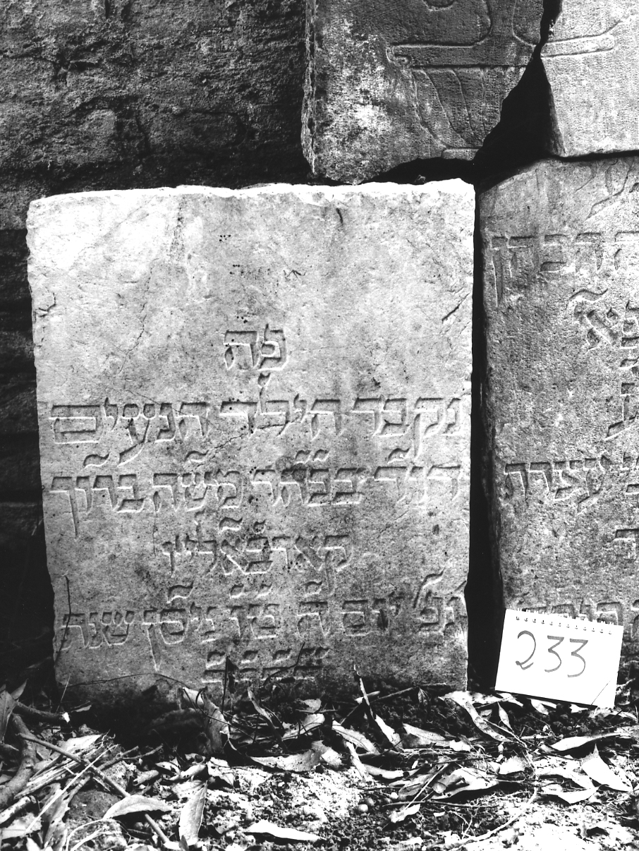 lapide - ambito veneto (sec. XVII)