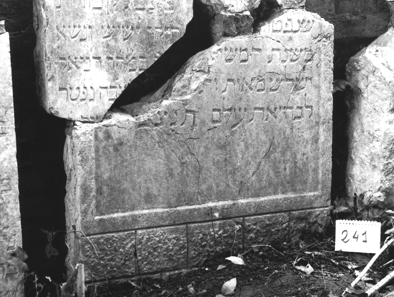 lapide - ambito veneto (sec. XVII)