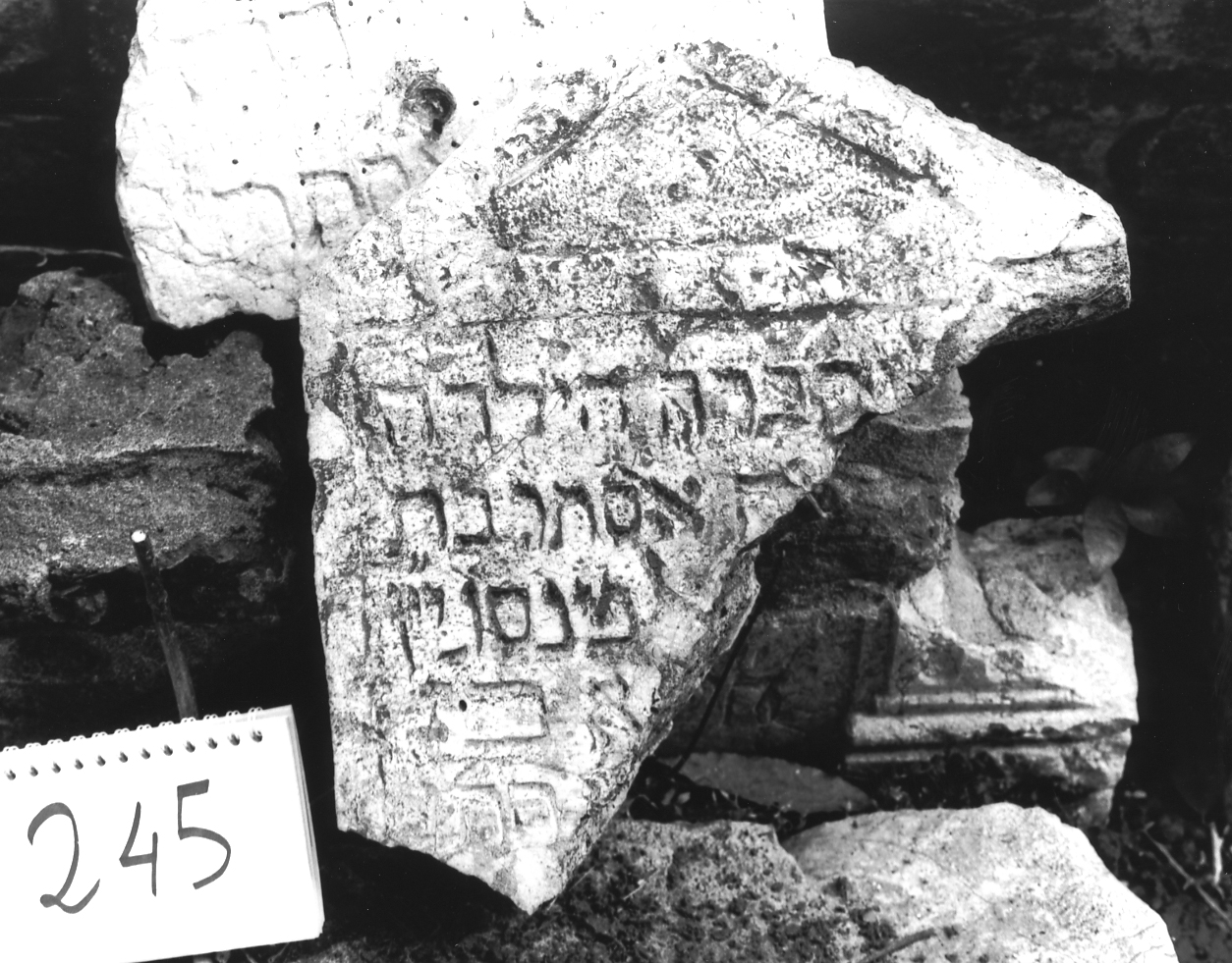 lapide - ambito veneto (sec. XVII)