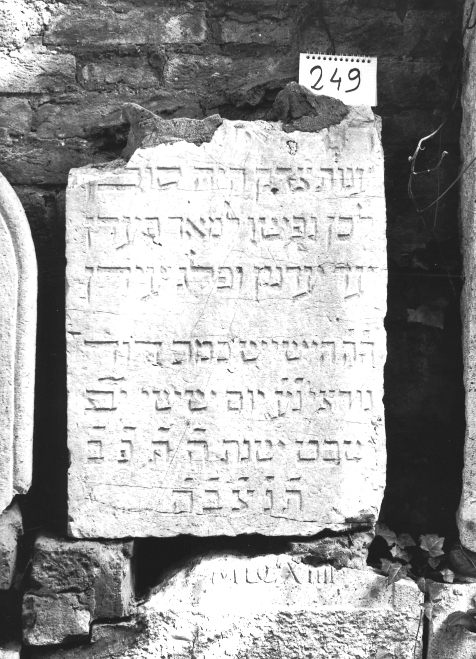 lapide - ambito veneto (sec. XVIII)