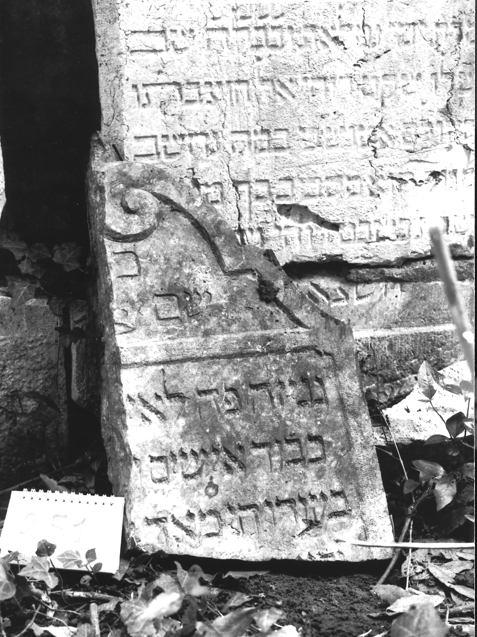 lapide - ambito veneto (sec. XVII)