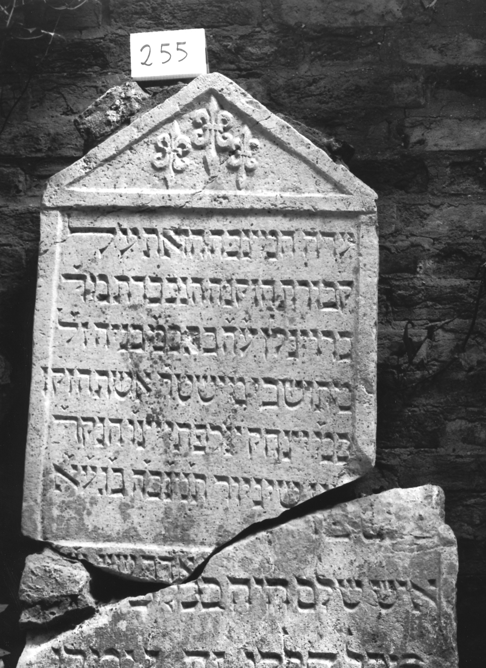 lapide - ambito veneto (sec. XVI)