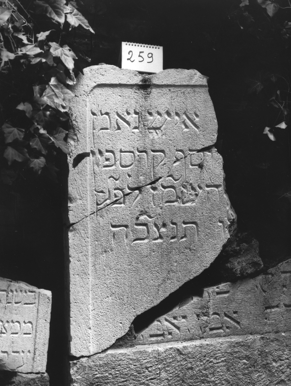 lapide - ambito veneto (sec. XVI)