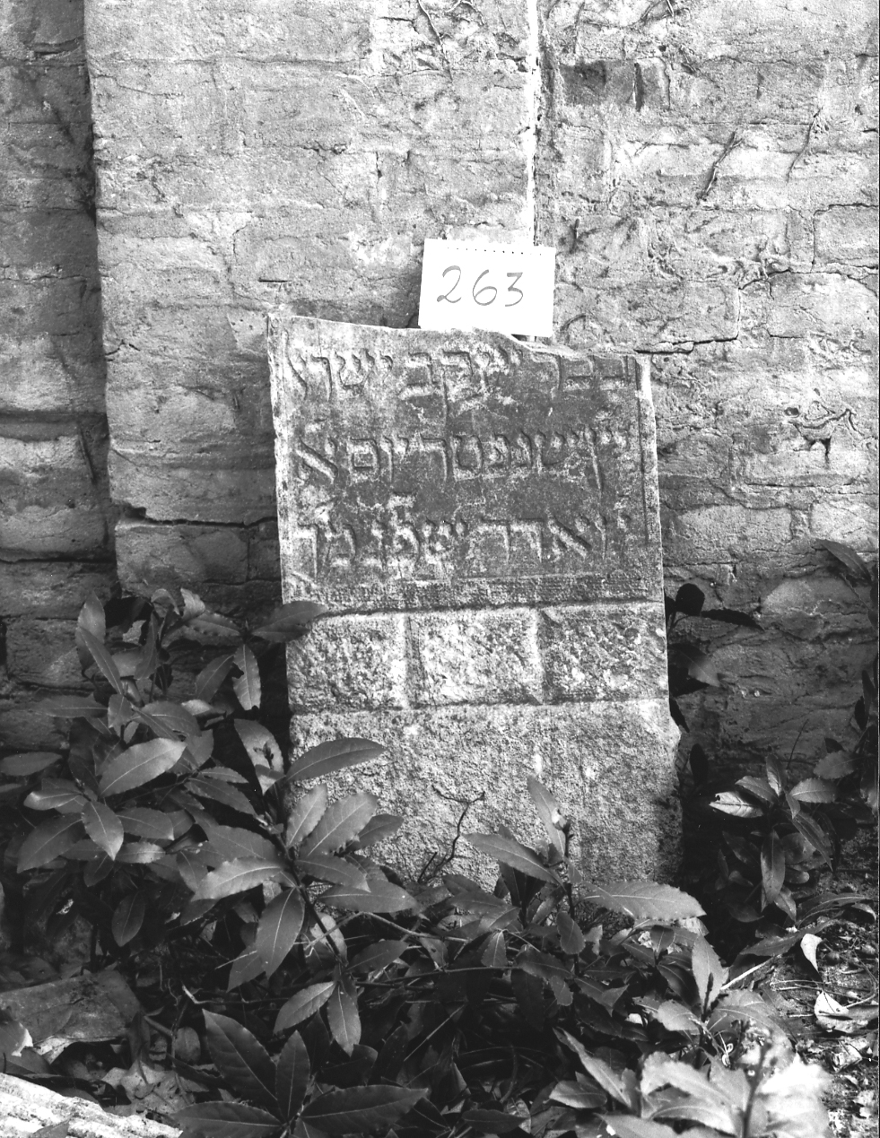 lapide - ambito veneto (sec. XVII)