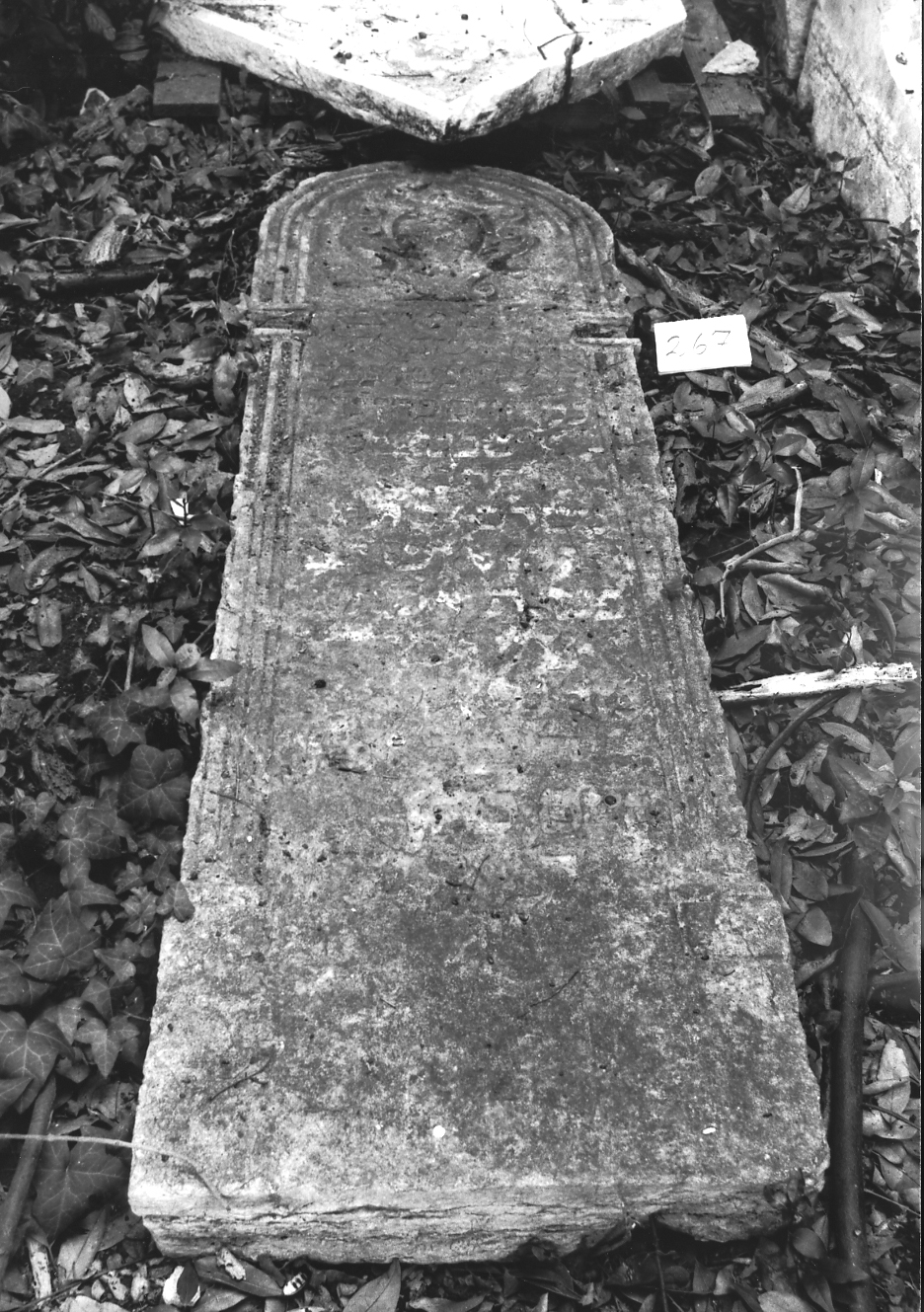 coperchio di sarcofago - ambito veneto (sec. XVII)