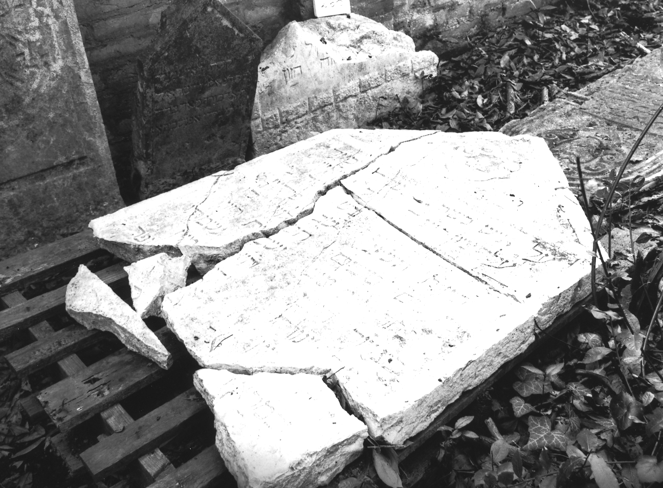 lapide - ambito veneto (sec. XVII)