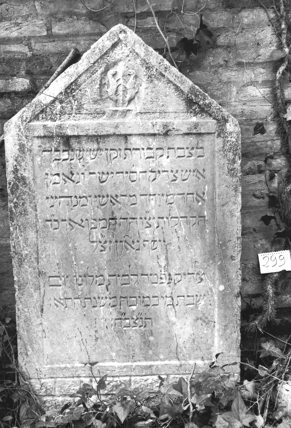 lapide - ambito veneto (sec. XVII)