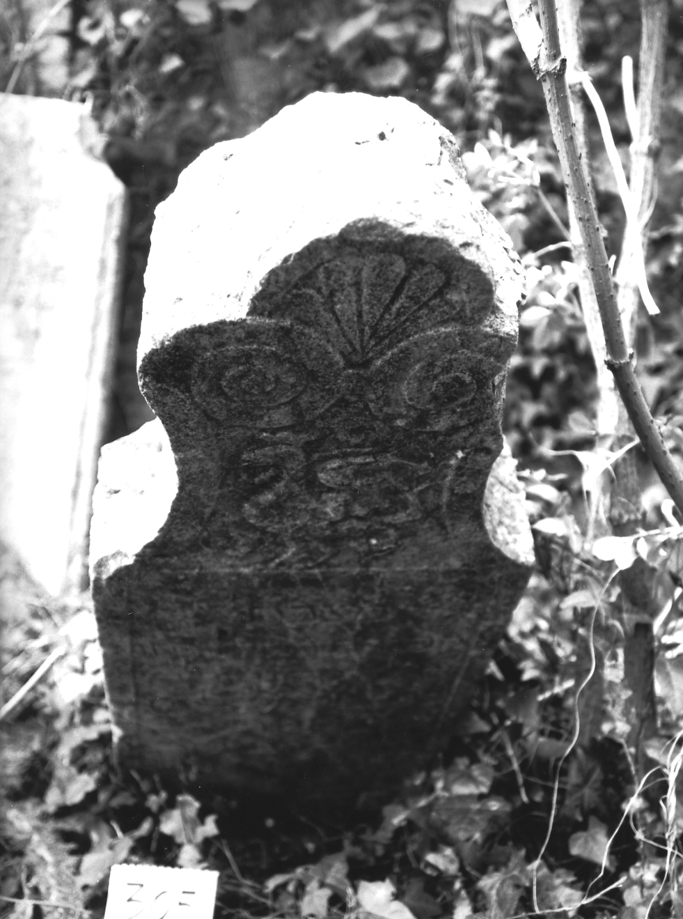 lapide - ambito veneto (sec. XVII)