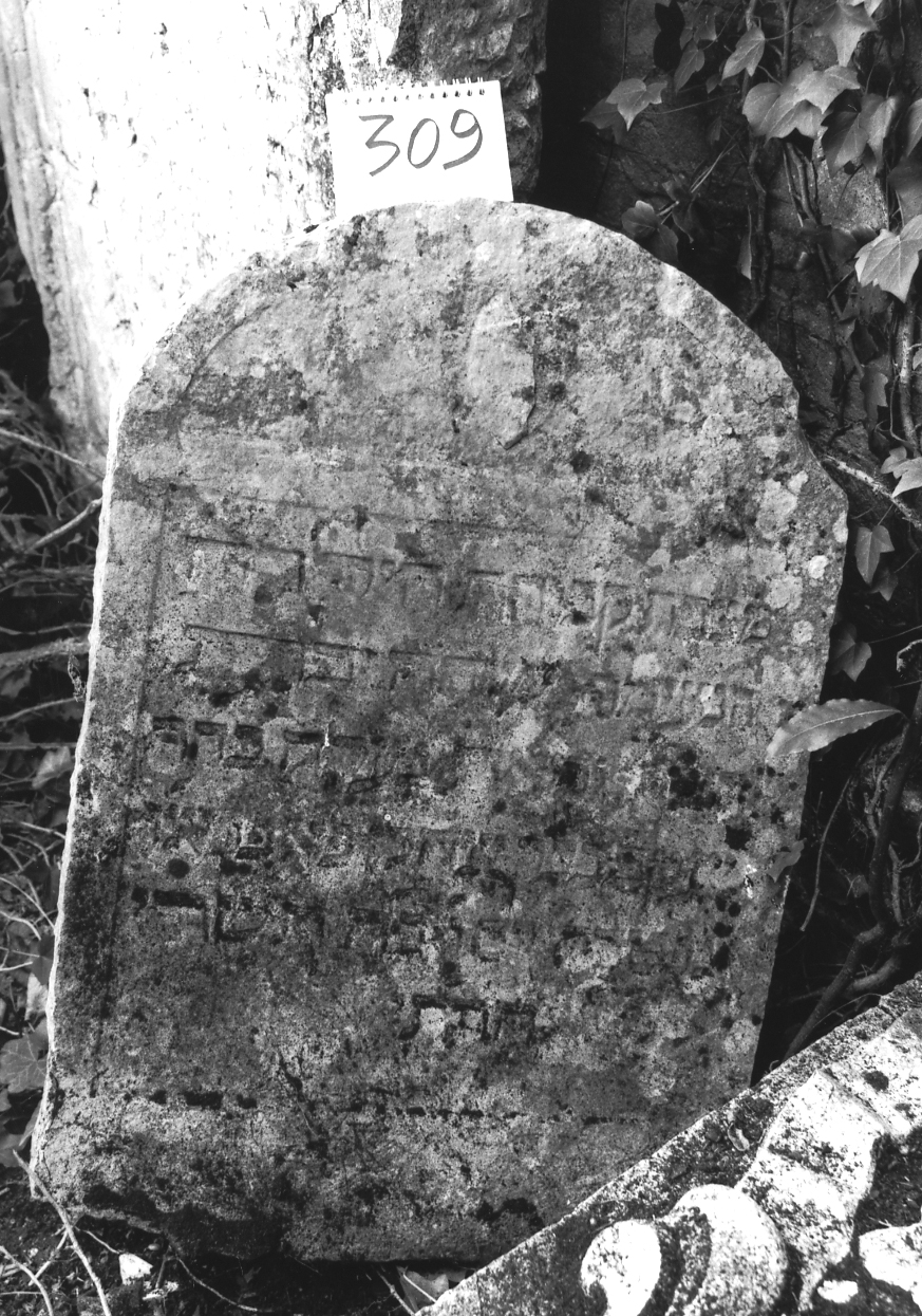 lapide - ambito veneto (sec. XIV, sec. XVII)