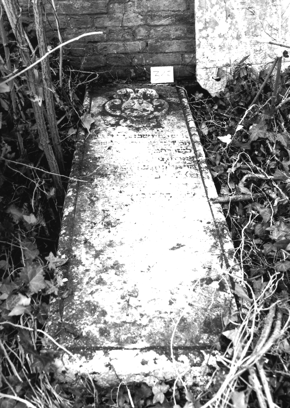 coperchio di sarcofago - ambito veneto (sec. XVII)