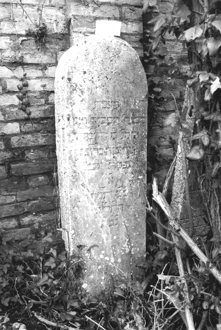 coperchio di sarcofago - ambito veneto (sec. XVII)