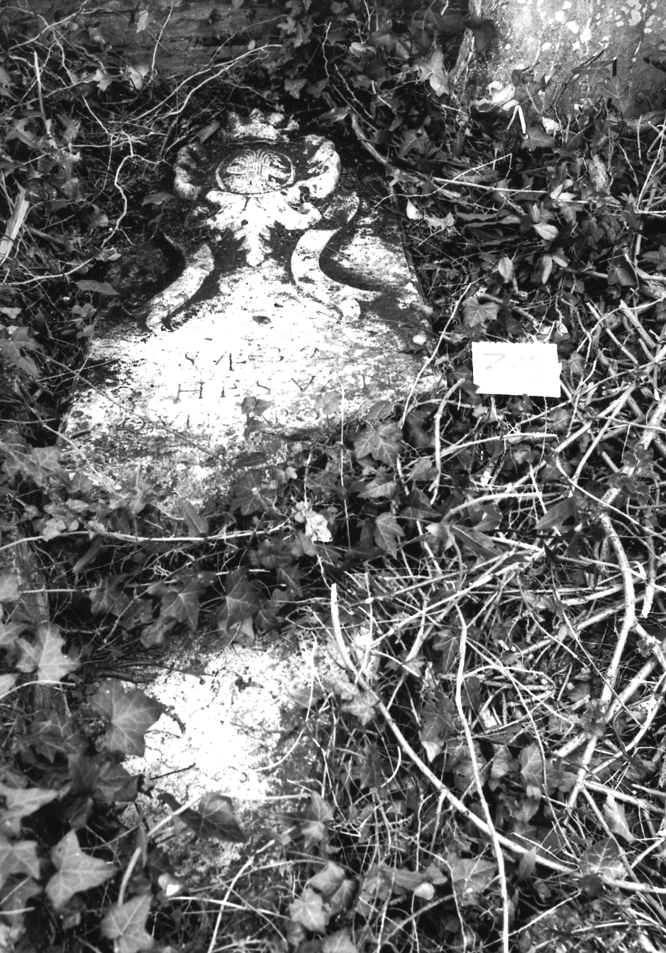 coperchio di sarcofago - ambito veneto (sec. XVII)