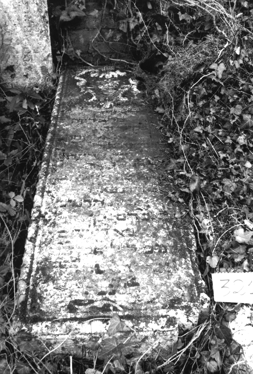 coperchio di sarcofago - ambito veneto (sec. XVII)