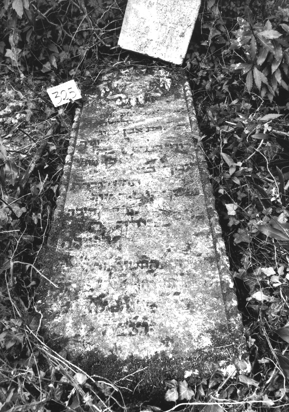 coperchio di sarcofago - ambito veneto (sec. XVII)