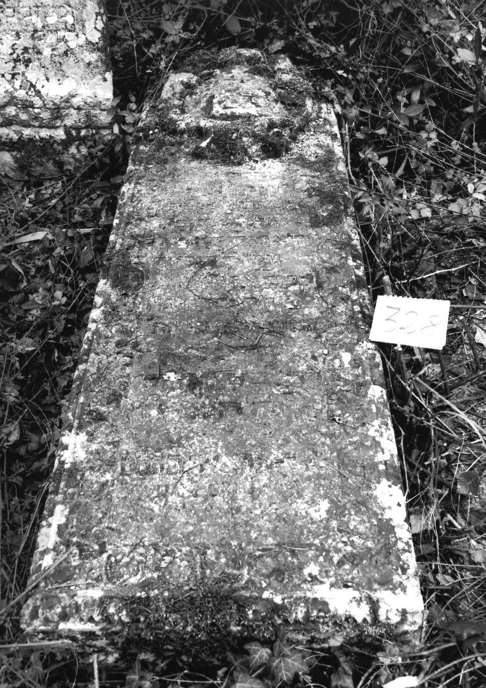 coperchio di sarcofago - ambito veneto (sec. XVII)