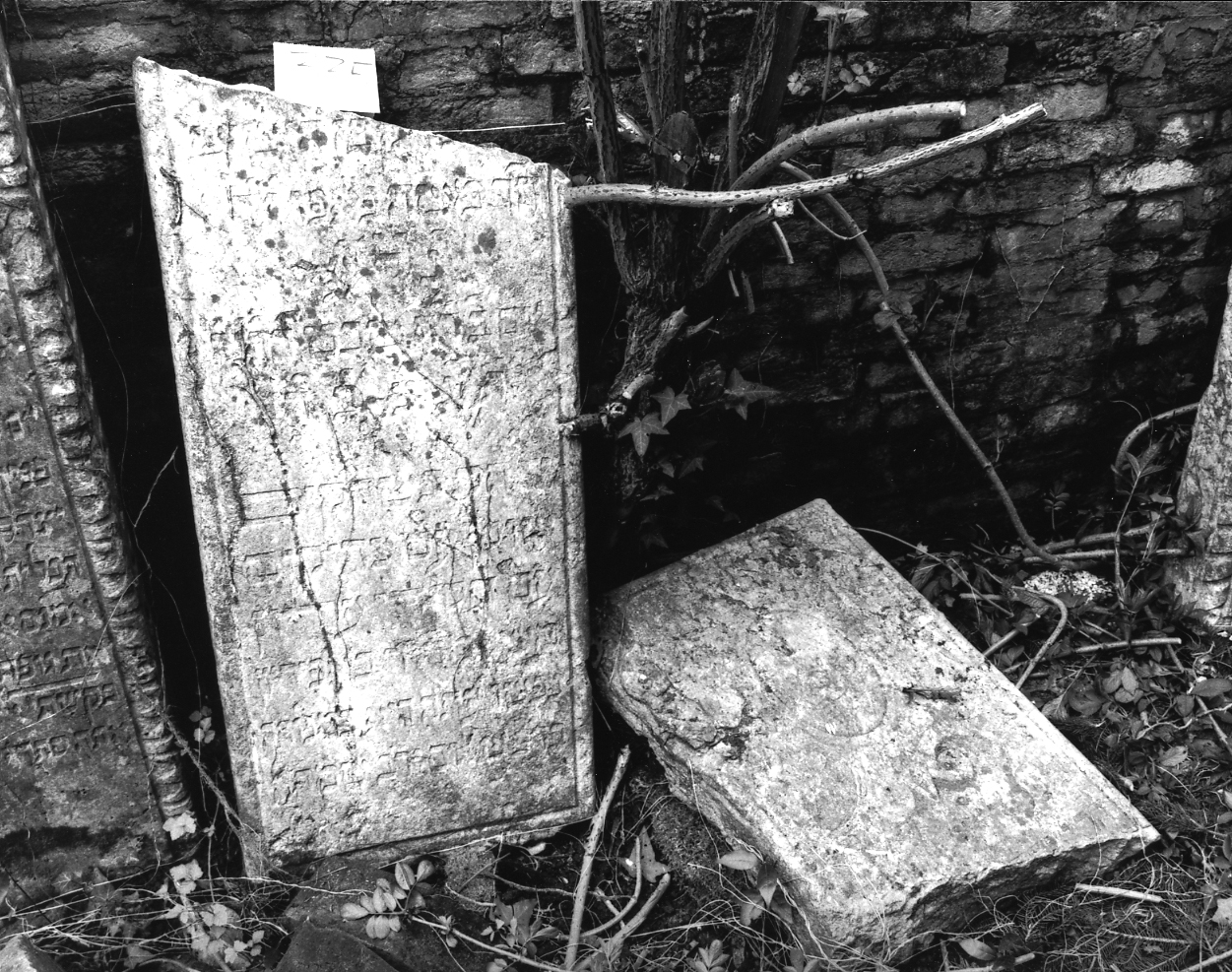 coperchio di sarcofago - ambito veneto (sec. XVII)