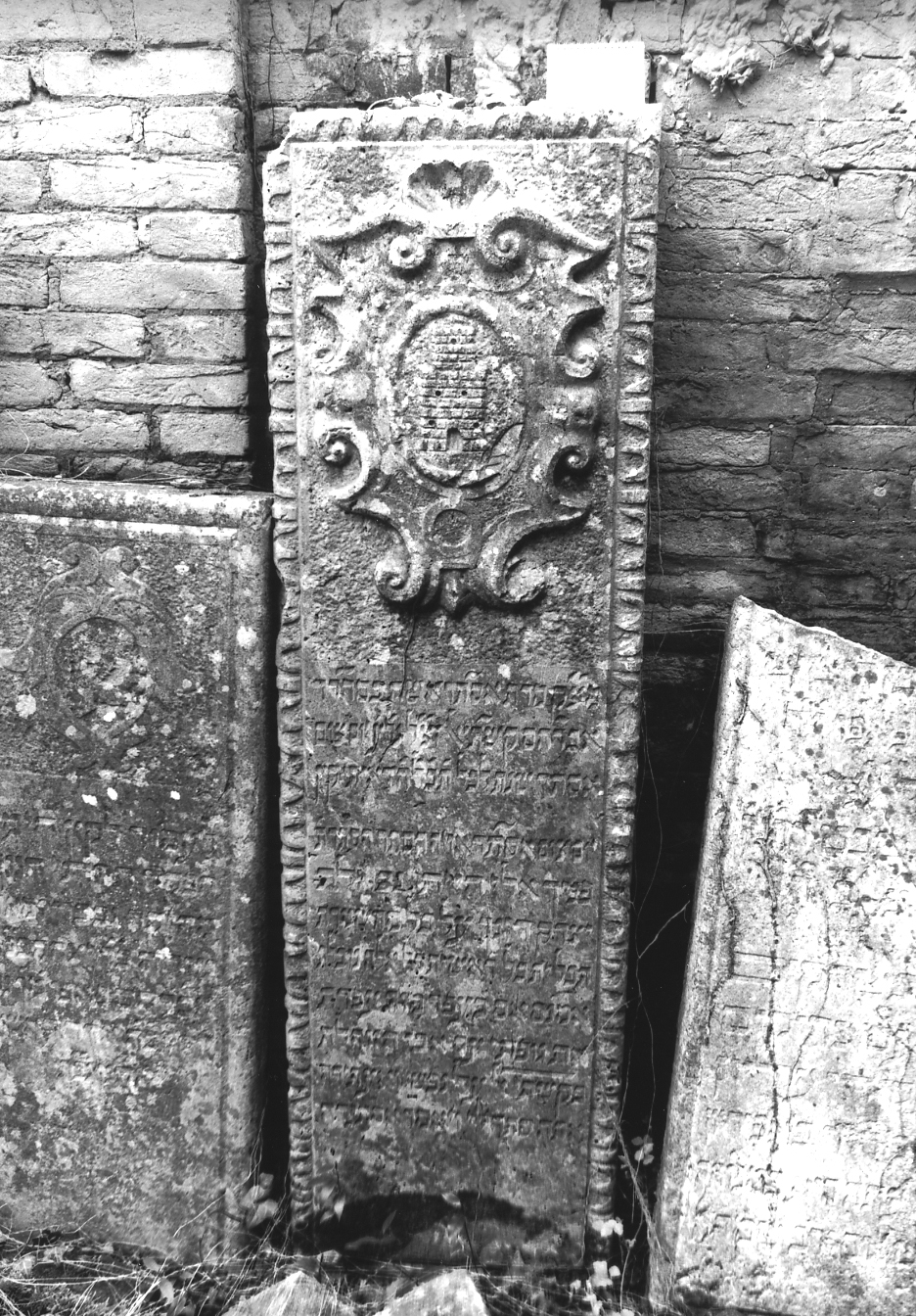 coperchio di sarcofago - ambito veneto (sec. XVII)