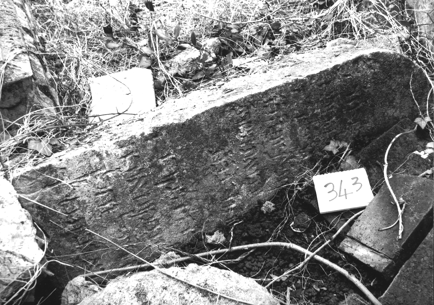 lapide - ambito veneto (sec. XVII)