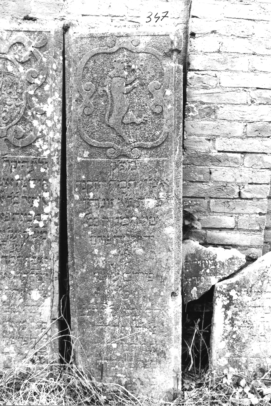 coperchio di sarcofago - ambito veneto (sec. XVII)