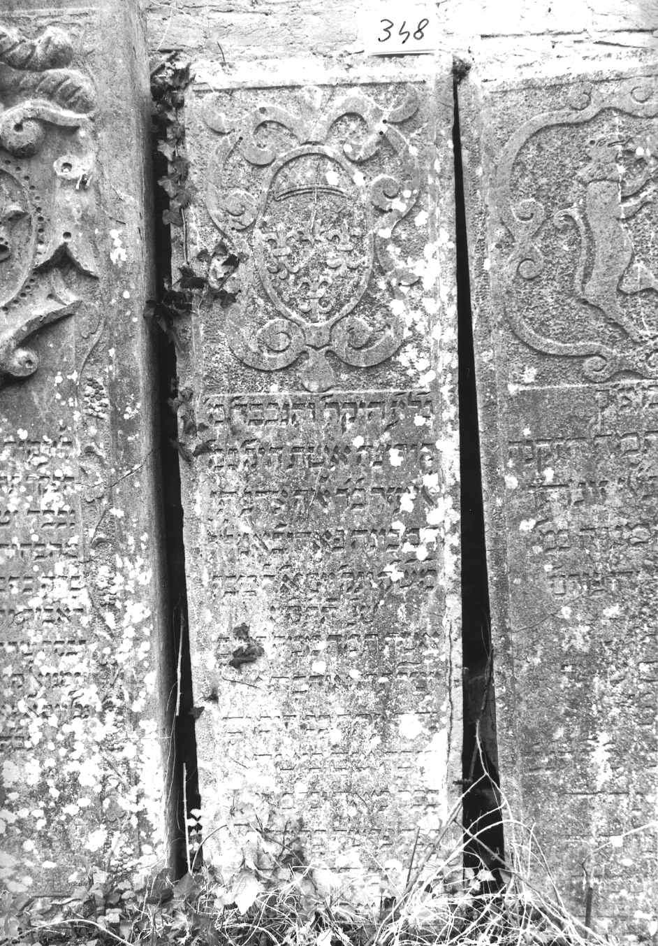 coperchio di sarcofago - ambito veneto (sec. XVIII)