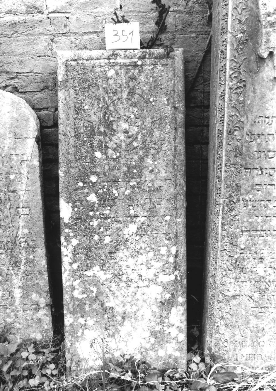 coperchio di sarcofago - ambito veneto (sec. XVIII)