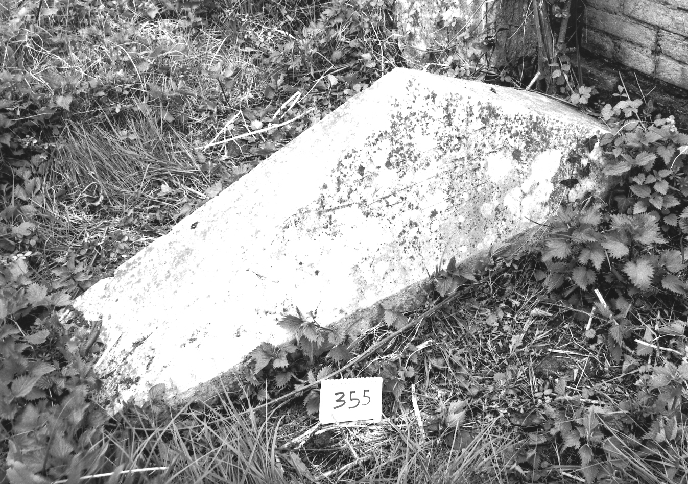 sarcofago - ambito veneto (sec. XVIII)