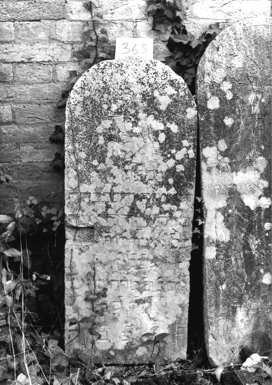 lapide - ambito veneto (sec. XVIII)