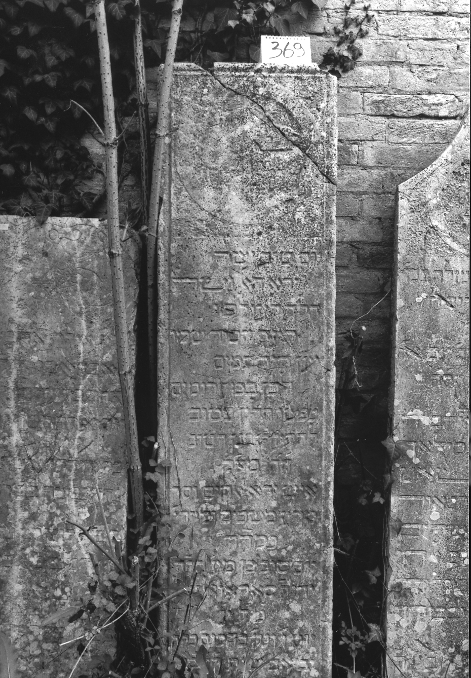 coperchio di sarcofago - ambito veneto (sec. XVIII)