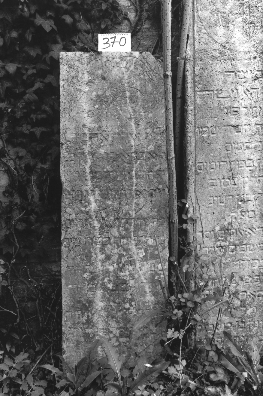 coperchio di sarcofago - ambito veneto (sec. XVIII)