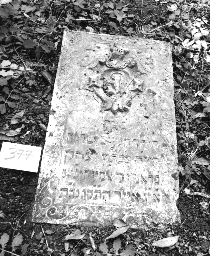 coperchio di sarcofago - ambito veneto (sec. XVIII)