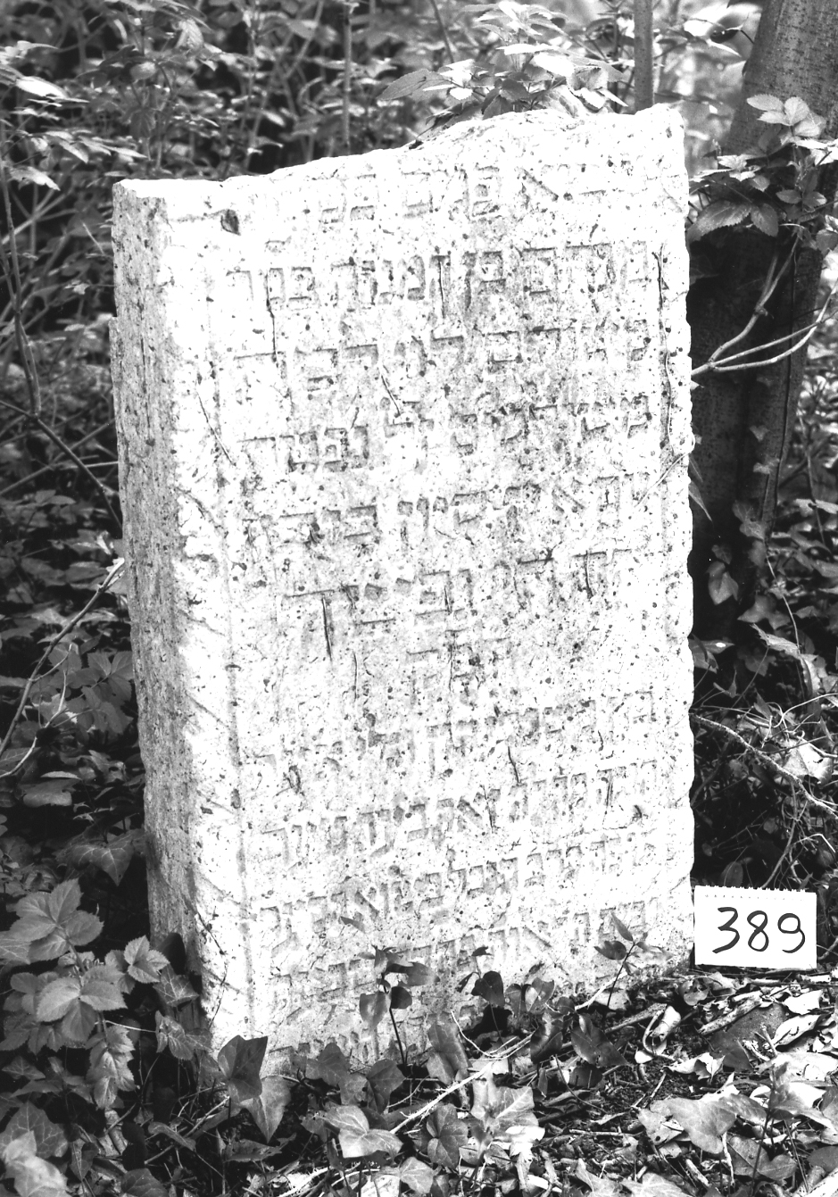 coperchio di sarcofago - ambito veneto (sec. XVIII)