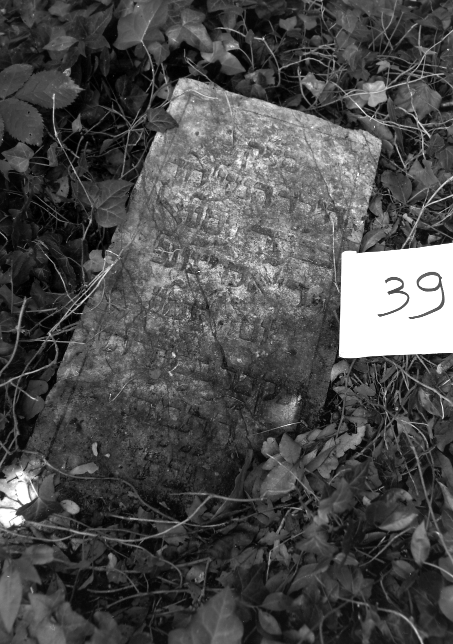 coperchio di sarcofago - ambito veneto (sec. XVII)