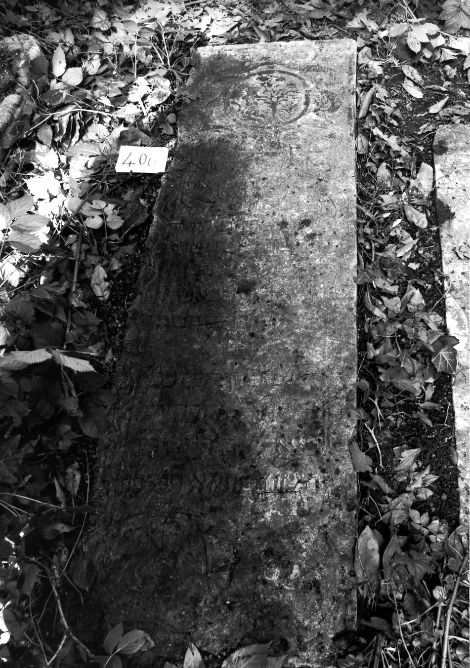 coperchio di sarcofago - ambito veneto (sec. XVIII)