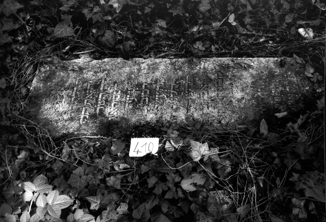 coperchio di sarcofago - ambito veneto (sec. XVII)