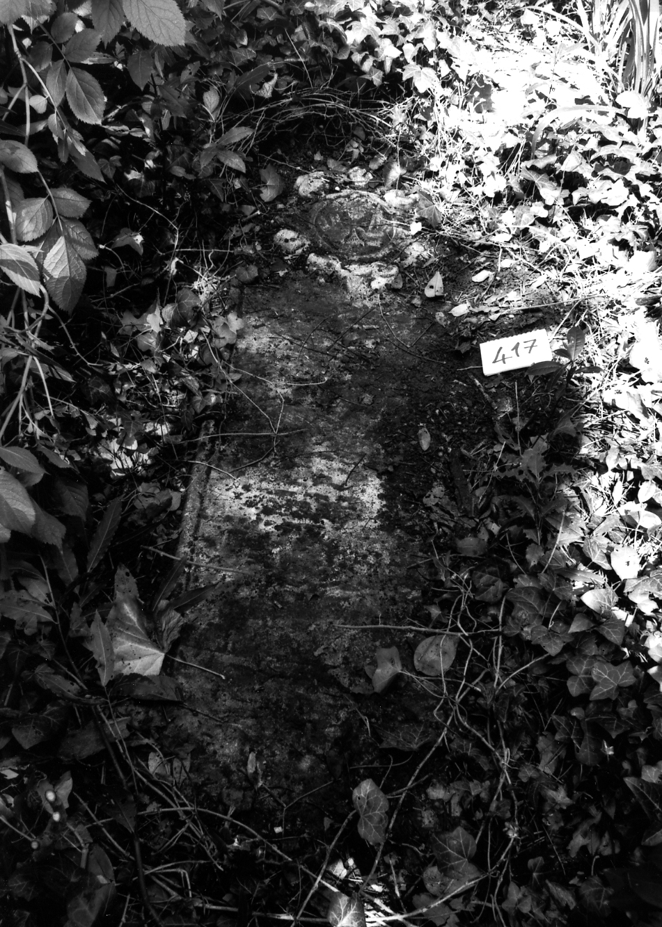 coperchio di sarcofago - ambito veneto (sec. XVIII)