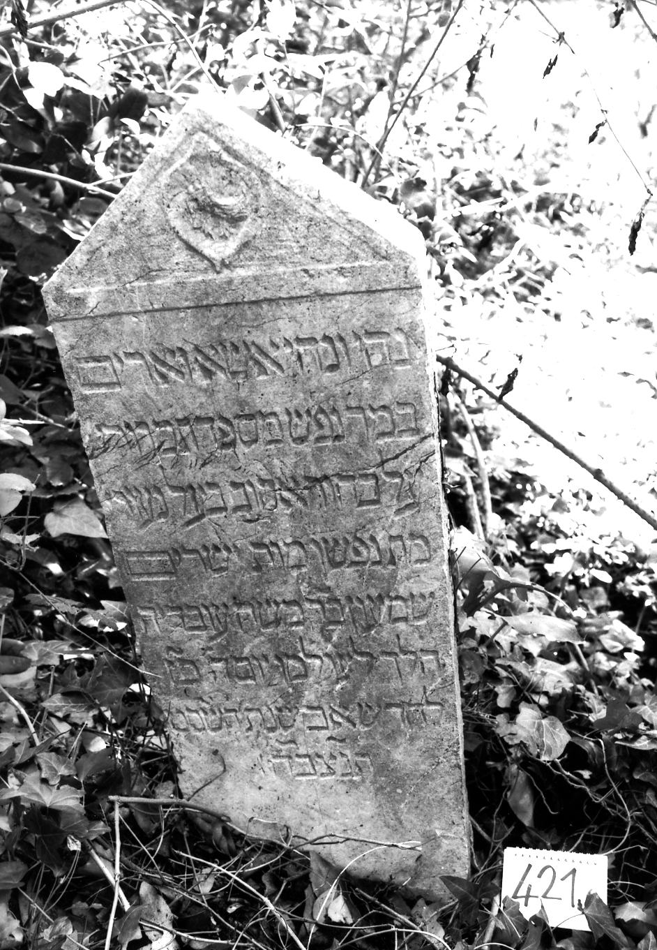 lapide - ambito veneto (sec. XVII)