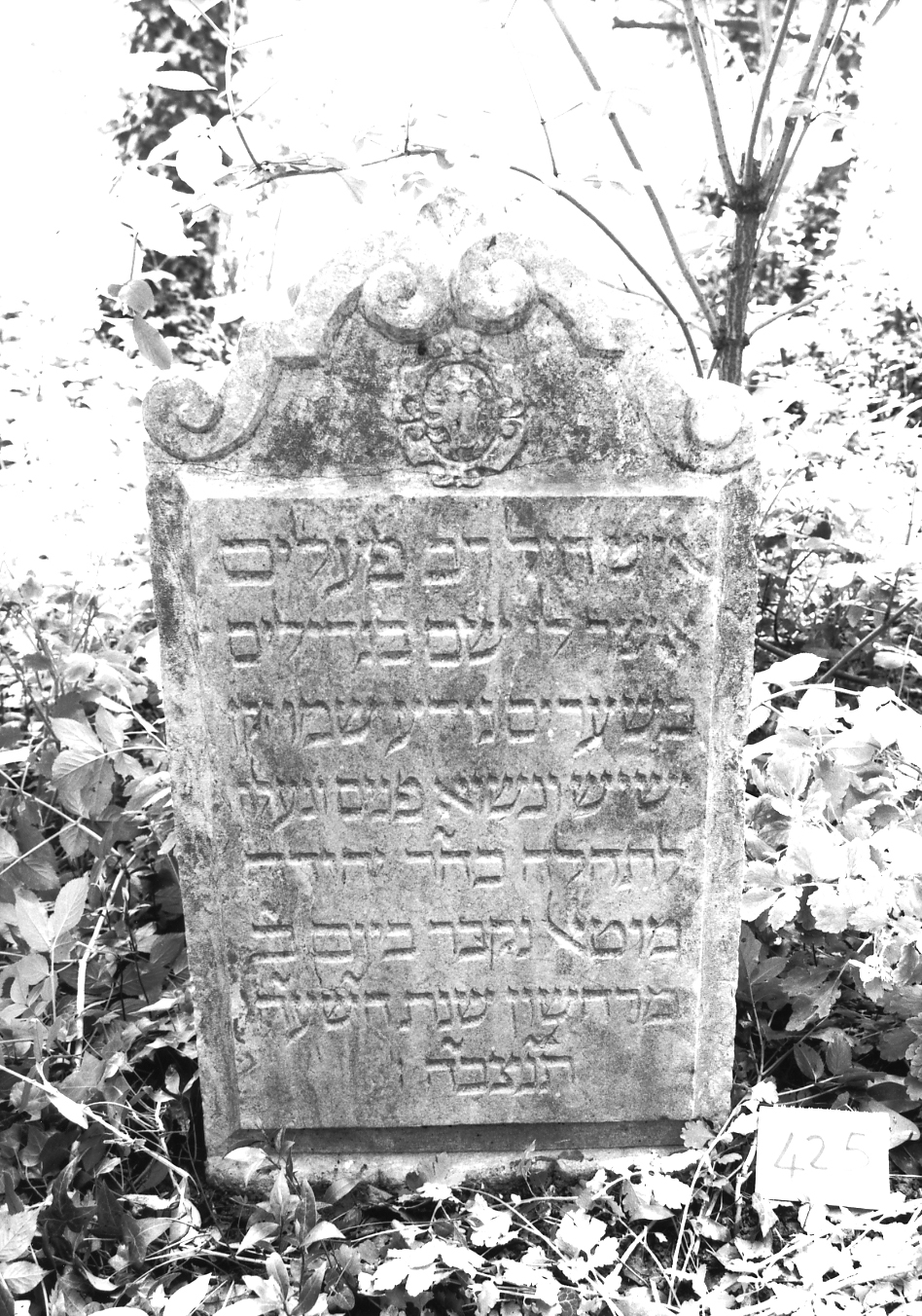 lapide - ambito veneto (sec. XVII)