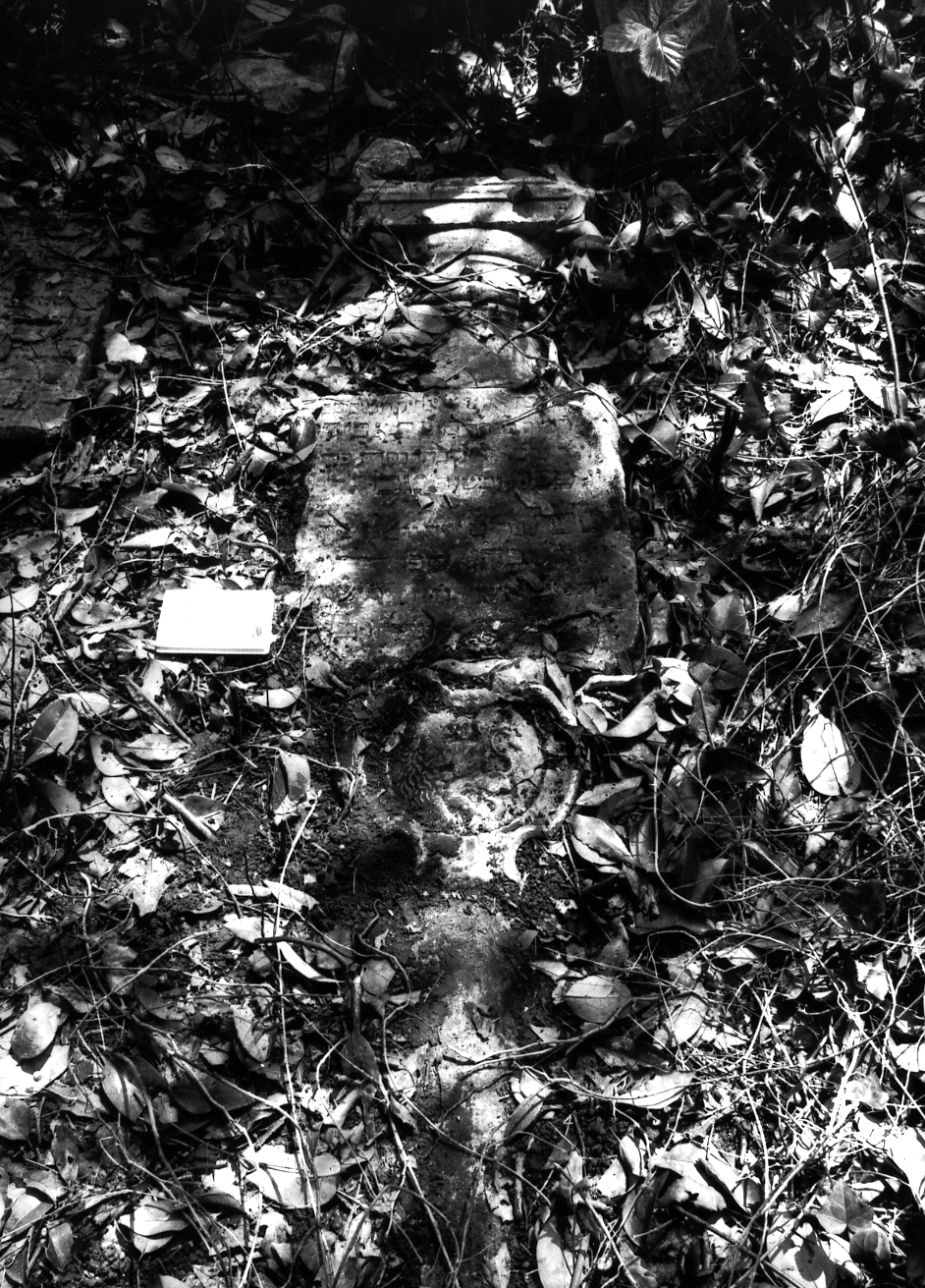 colonna - ambito veneto (sec. XVII)