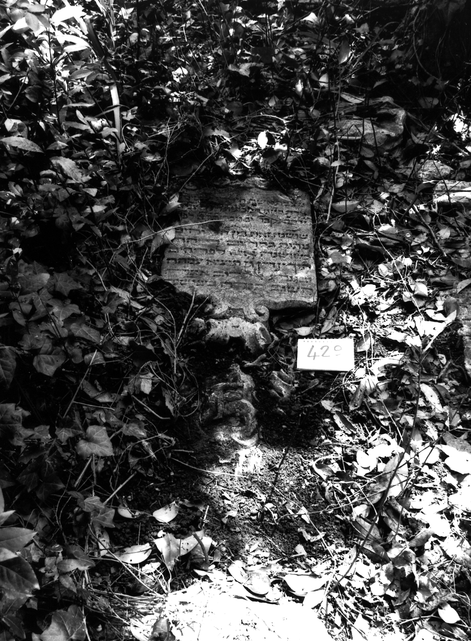 colonna - ambito veneto (sec. XVII)