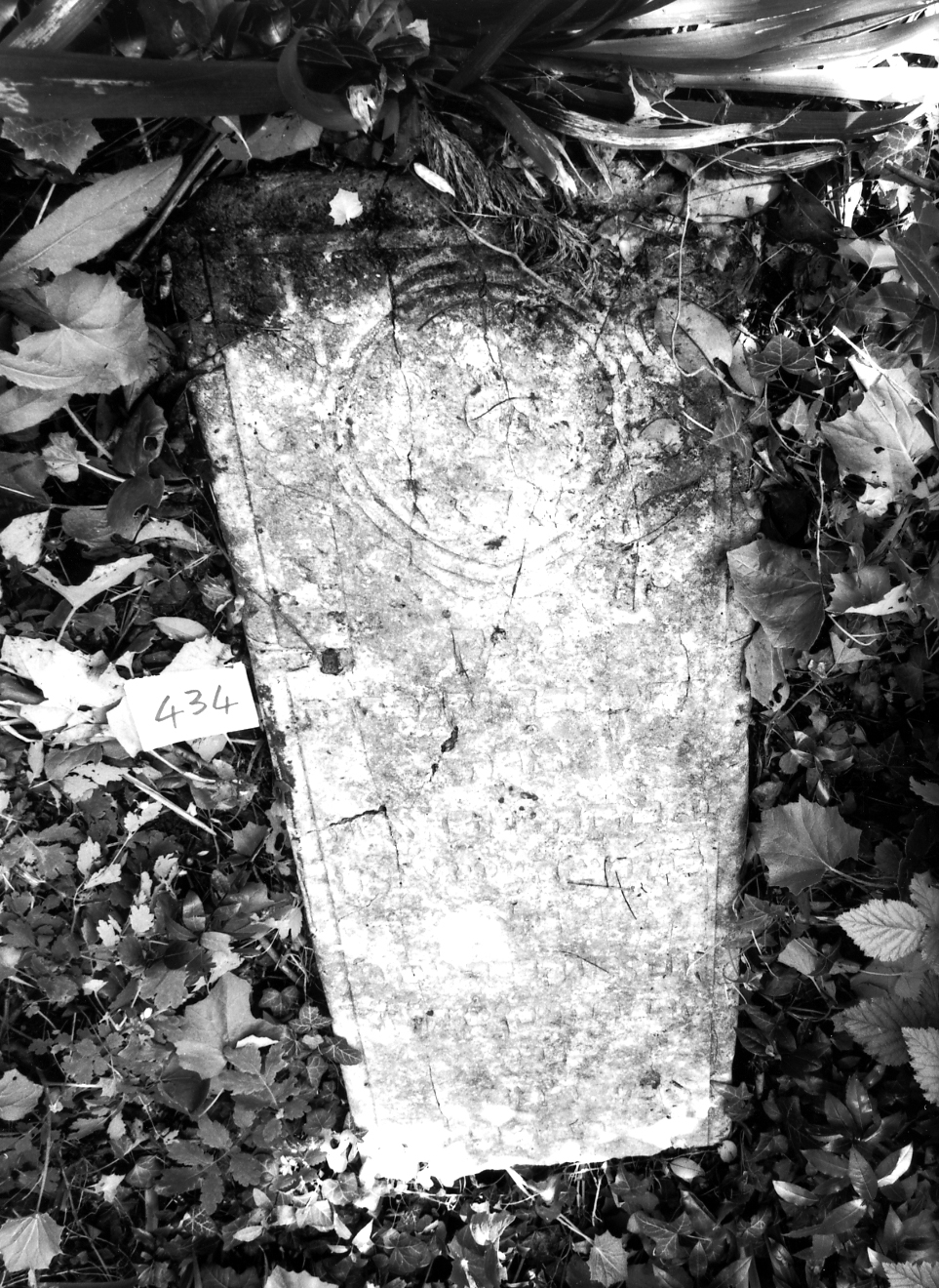 coperchio di sarcofago - ambito veneto (sec. XVII)