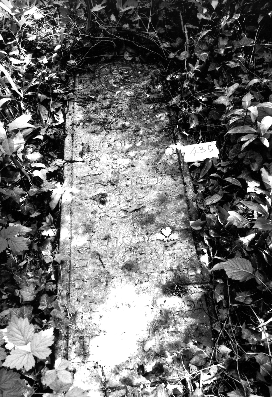 coperchio di sarcofago - ambito veneto (sec. XVIII)