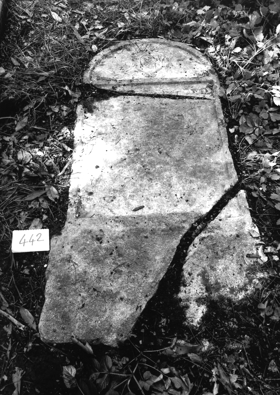 lapide - ambito veneto (sec. XVII)