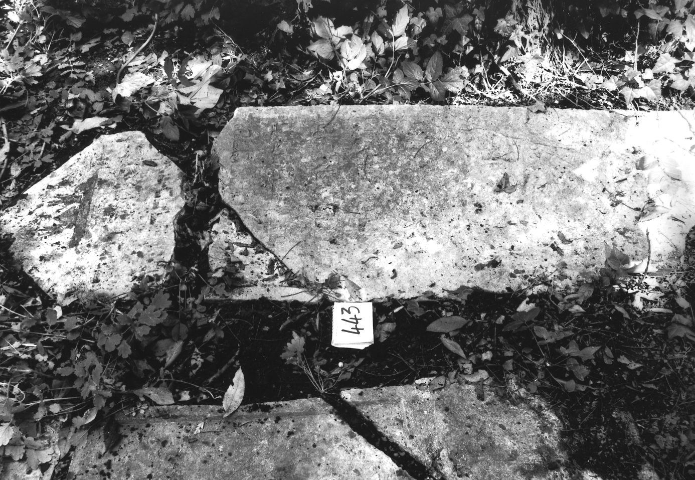 lapide - ambito veneto (sec. XVII)