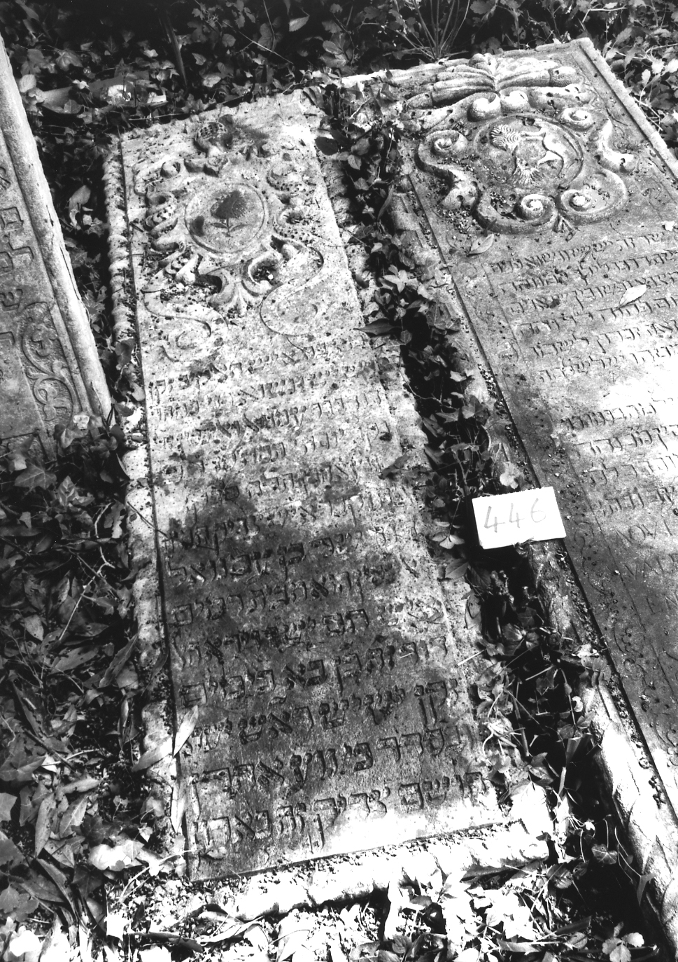 sarcofago - ambito veneto (sec. XVII)