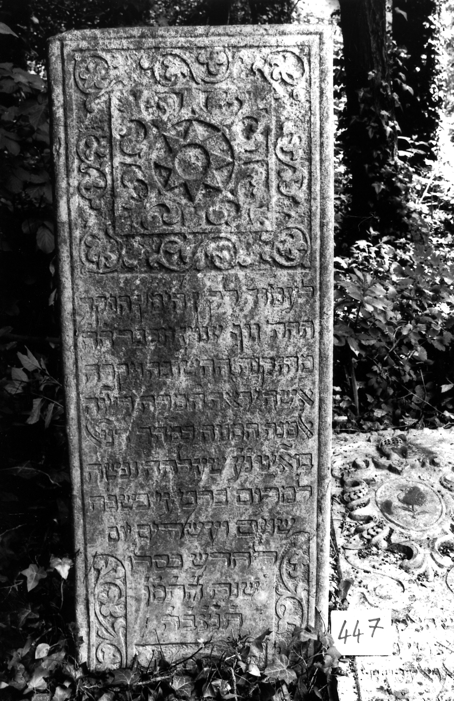 coperchio di sarcofago - ambito veneto (sec. XVII)