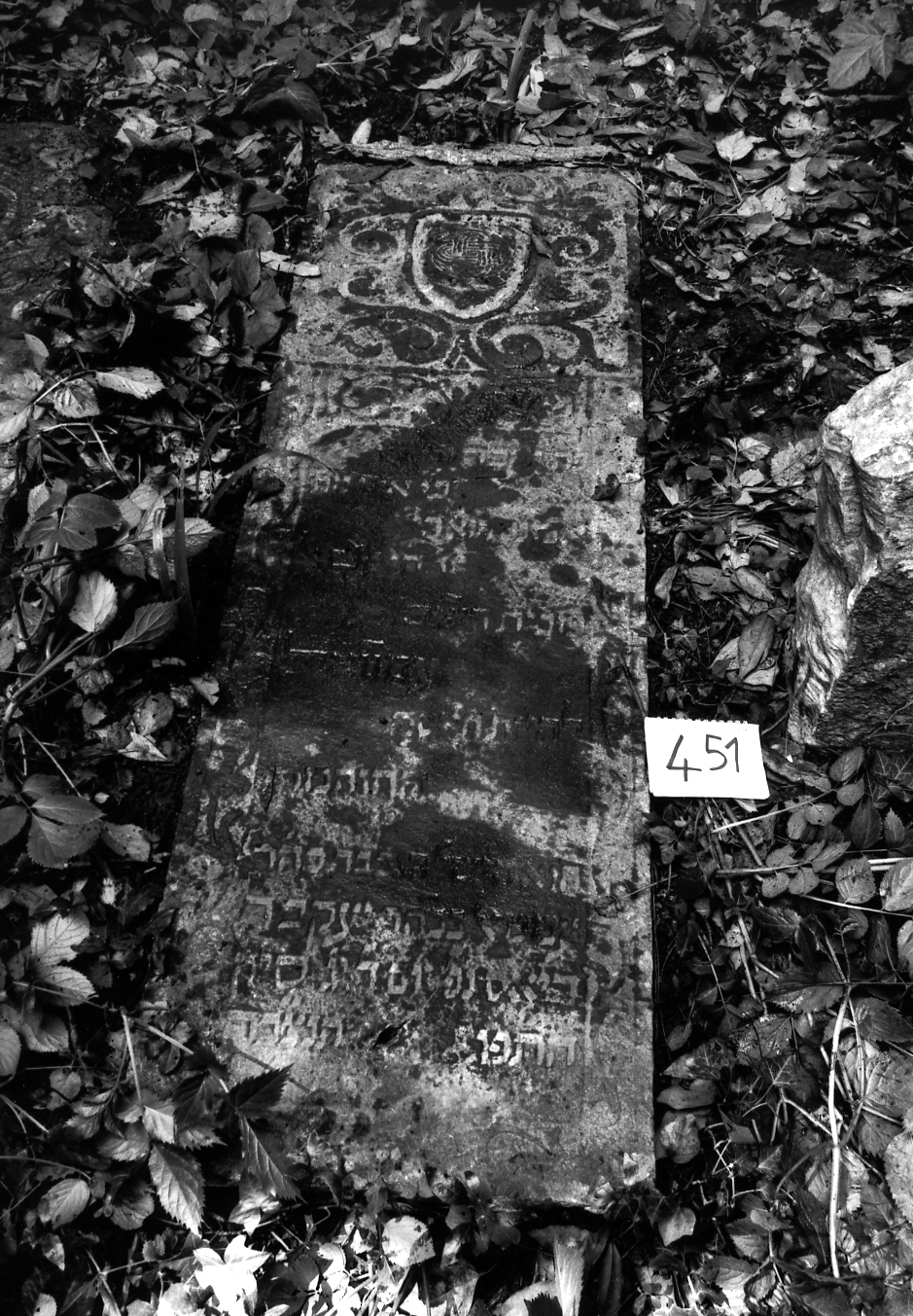 coperchio di sarcofago - ambito veneto (sec. XVII)