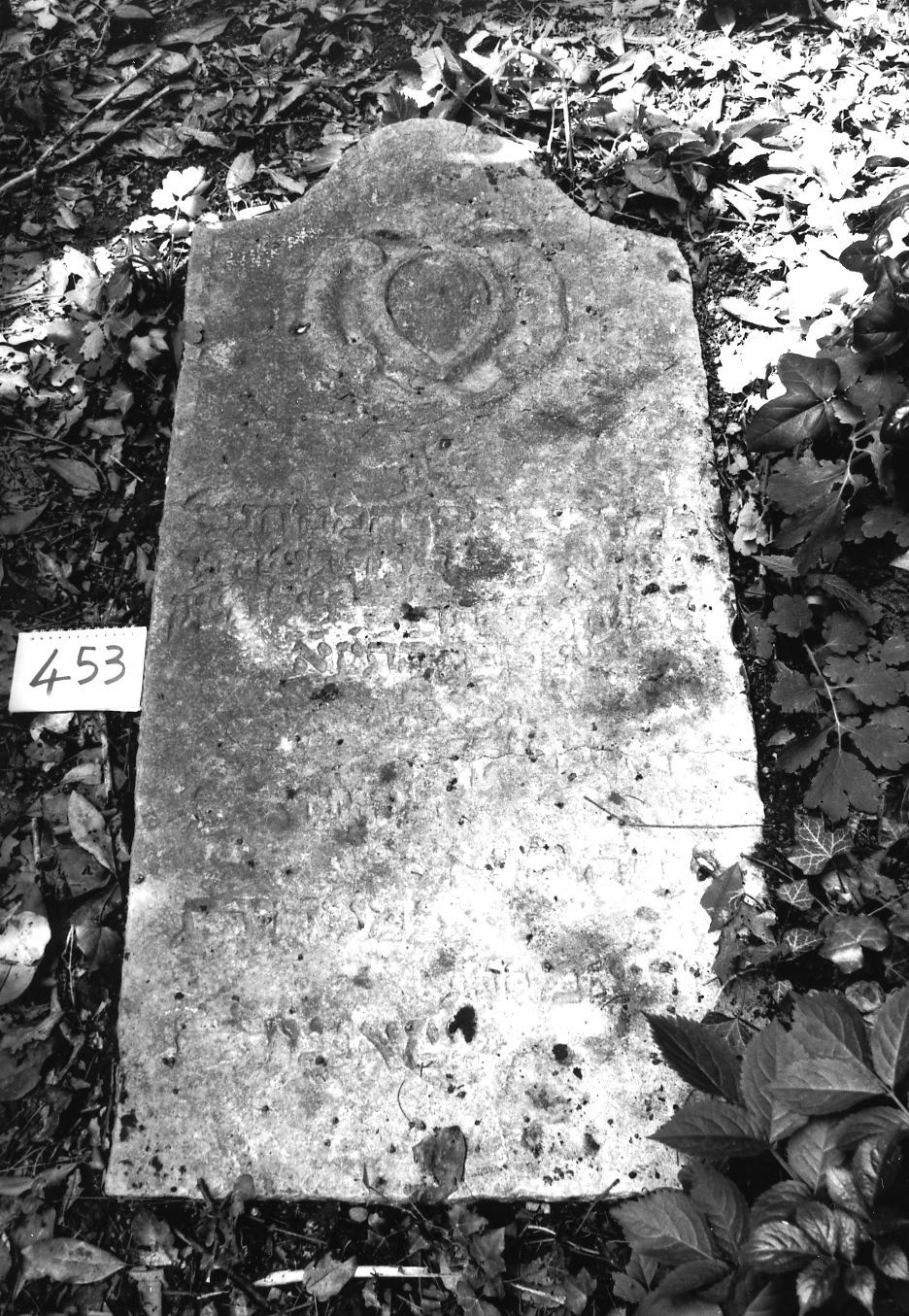 coperchio di sarcofago - ambito veneto (sec. XVIII)